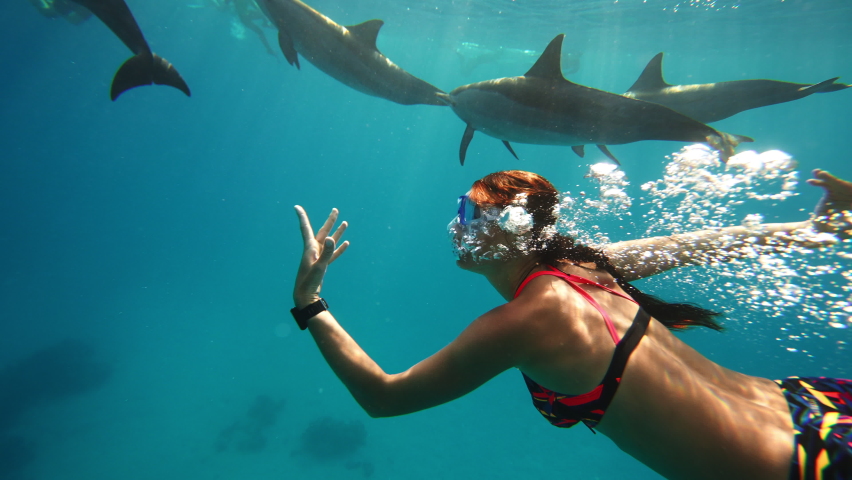 Beautiful young woman swimming underwater with dolphins in pristine blue ocean water, amazing snorkeling adventure. Armature freediver girl diving in red sea with bottlenose dolphins. Travel concept | Shutterstock HD Video #1088791457