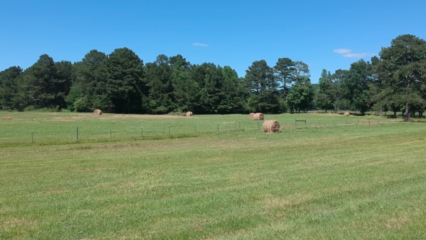 Alabama pasture during the summer season.