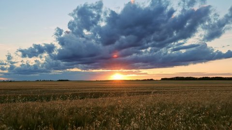 Sunset timelapse over the farmer’s pasture in Alberta’s Prairies, Canada. Blue sky with moving clouds. Canadian Prairies. Western Canada