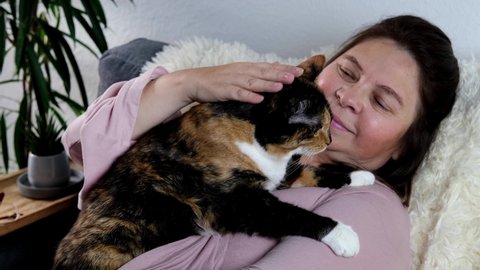 close-up of adult domestic cat, middle-aged woman of 50 years old in pink sweater sits on sofa in room, concept of stay at home, cozy home, keeping four-legged pets, pet care, daily life