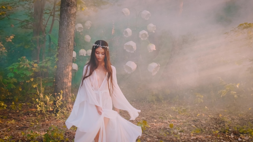 Young beautiful woman elf, silver diadem crown on head. Long brunette hair. Princess girl in white silk medieval fantasy dress, nightgown, peignoir. Fashion model posing. foggy fairy autumn forest. 4k Royalty-Free Stock Footage #1088813201