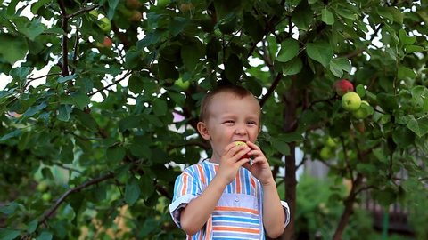 a boy eats a red apple standing by an apple tree.