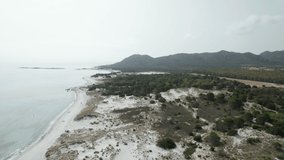 Aerial drone video of a beach with sand dunes in the mediterranean, Sardinia, Capo Comino
