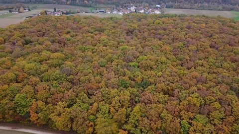 Drone shot ing backwards) of Autumn Forest Canopy with Countryside Paths and Mountain in the Background