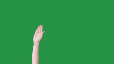 Hello gesture. Princess wave. Welcome hi. Meeting acquaintance. Female hand greeting isolated on green chroma key copy space advertising background.