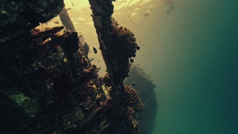 Underwater view of the shipwreck in Maldives