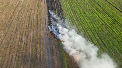 Aerial reverse footage of a burning grass and white smoking rising, Grassland Burning, Pak Pli, Nakhon Nayok, Thailand.