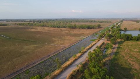 Aerial footage revealing a farm road and a small forest in the distance, Pak Pli, Nakorn Nayok, Thailand.