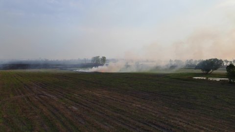 Ascending aerial footage from a different angle of this famrland burning revealing trees and ponds in the distance, Grassland Burning, Pak Pli, Nakhon Nayok, Thailand.