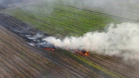 Aerial steady fooatge of a burning farm being prepared for planting, Grassland Burning, Pak Pli, Nakhon Nayok, Thailand.