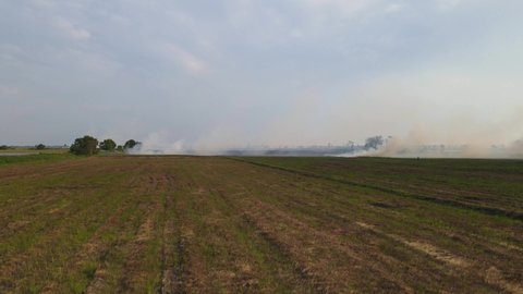 Ascending aerial footage showing a pond on the left and a farmland burning, Grassland Burning, Pak Pli, Nakhon Nayok, Thailand.