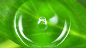 Super Slow Motion Shot of Water Drop Falling into Water Surface With Fresh Green Leaf at 1000fps. - Powered by Shutterstock - Get 15% off with code: PIKWIZARD15