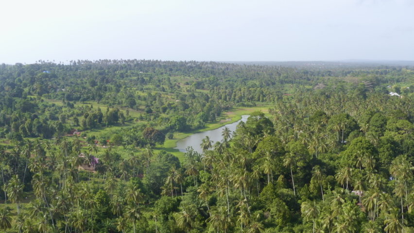 Small lake in lush palm paradise in exotic Zanzibar jungle, drone shot.