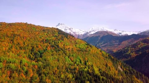 Epic aerial drone flight over mountains in autumn, sunset, colorful autumn trees, snow-capped mountain top. Georgia, Svaneti region. Yellow, red and green leaves on trees. Colorful leaves in mountains