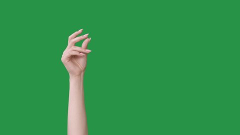 Finger snapping. Give me. Attention gesture. Arrogant woman hand demanding payment reaching out open palm isolated on green chroma key copy space background.