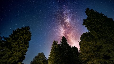The Milky Way glowing in a clear, deep dark blue night sky and moving over treetops in time lapse motion