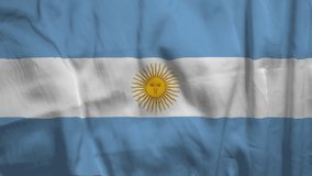 Flag of Argentina. High quality 4K resolution	