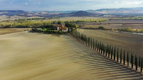 Green hills, olive gardens and small vineyard under rays of morning sun, Italy, Tuscany, San Quirico D'Orcia. Famous Tuscany landscape with curved road and cypress, Italy, Europe