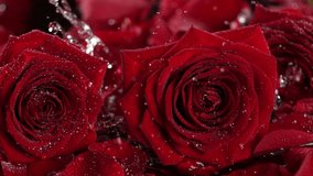 Super slow motion shot of falling and splashing red rose bloom into water at 1000 fps. - Powered by Shutterstock - Get 15% off with code: PIKWIZARD15