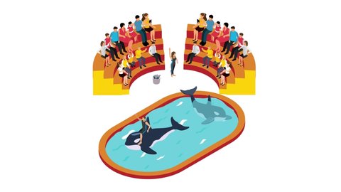 Crowded people animation watching killer whales show in the zoo. Cartoon in 4k resolution