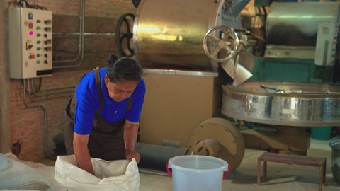 Senior woman scooping raw coffee beans filling up a bucket to weighing. Asian women 74 years old working in a factory. coffee roaster process, industrial, worker