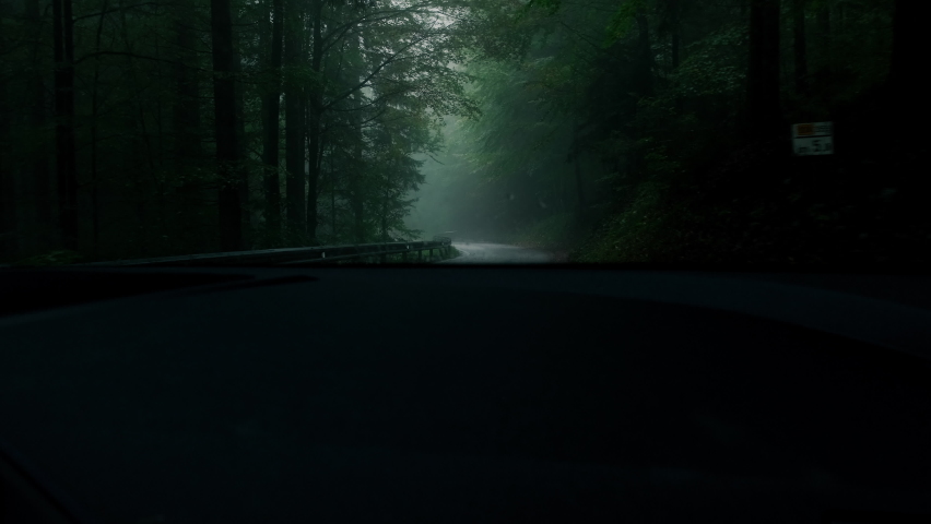 Driving a car through forest winding road on a foggy day. View from car on a wet road covered with fog. Blue misty weather. Handheld shot. Royalty-Free Stock Footage #1088900651