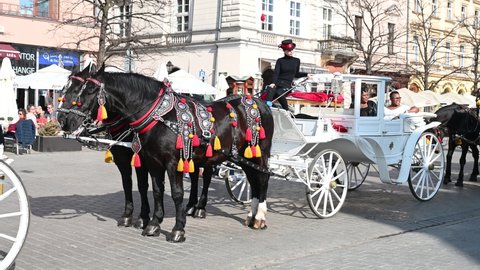Krakow, Poland, March 2022: Horse carriage in the main square of Krakow. Tourist attraction on Rynek Glówny square. Horse-drawn carriage. Beautiful horses. 