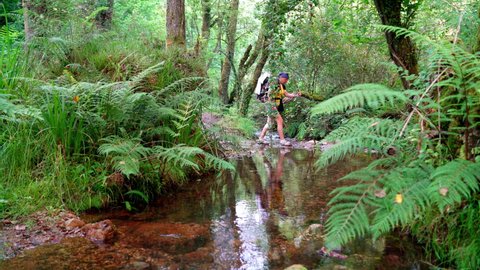 4K female trekker with backpack crossing forest stream with Scandinavian pole. Hiking, backpacking, environment concept.