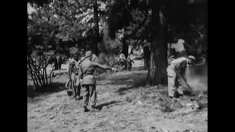 CIRCA 1946 - African-American paratroopers fight a forest fire and pass out equipment.