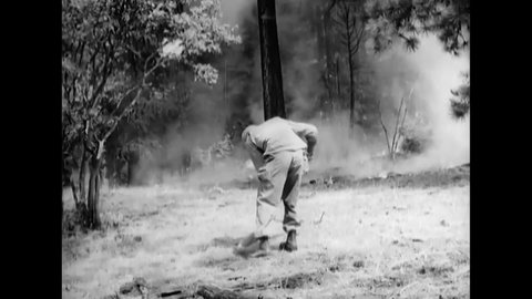 CIRCA 1946 - African-American paratroopers fight a forest fire by building a firebreak.
