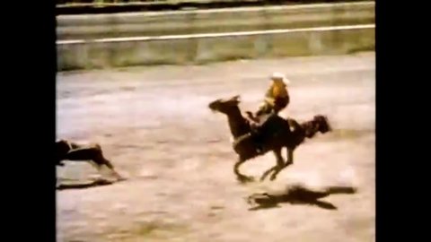 CIRCA 1948 - In this western film, a calf roping competition begins at a rodeo.