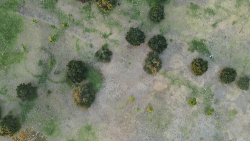 Drone Footage of Kenneth Hahn Park
