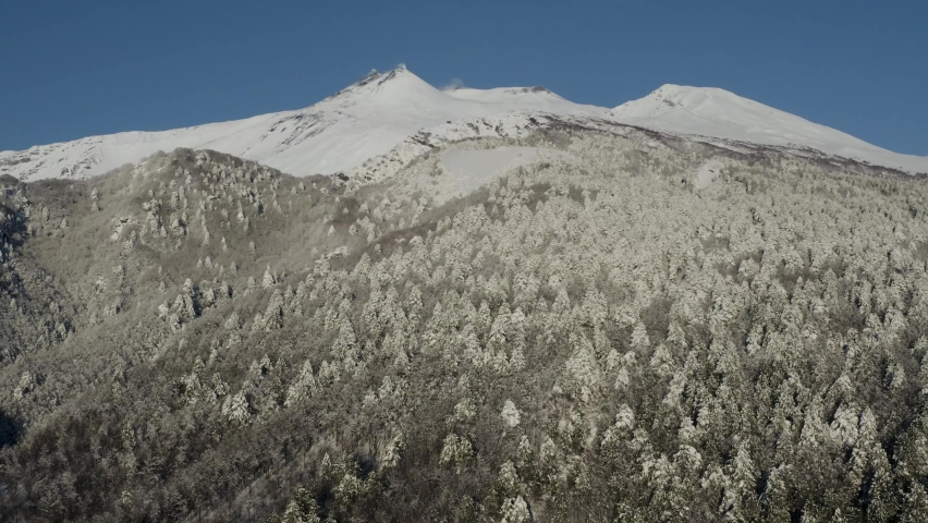 Aerial shot with drone of Etna in winter. Frozen trees and snow-covered craters, Etna in activity, Valle del Bove and summit craters. Snowy woods. South-East, North-East, Sartorius, Bocca Nuova.