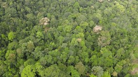 Aerial view of nature forest in summer. Dron flying over beautiful landscape in Southern Thailand
