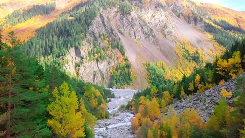 Shooting from drone, it flies over mountain river with rapids in autumn. Mountain autumn landscape with river. Georgia Svaneti. Trees with yellow and red leaves. Colorful foliage. golden autumn.