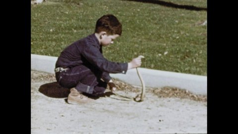 1960s: Boy picks up long snake from road. People ride horses. Girl and boy climb up on corral fence.