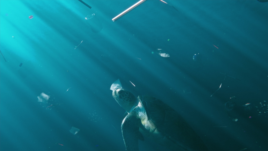 Sea Turtle Swimming under Polluted Water with Plastic Garbage. 3D Animation of Wildlife Animal Turtle in Ocean near Waste Plastic Bottle Bag. Environmental Issue. Human Impact Marine Pollution Ecology