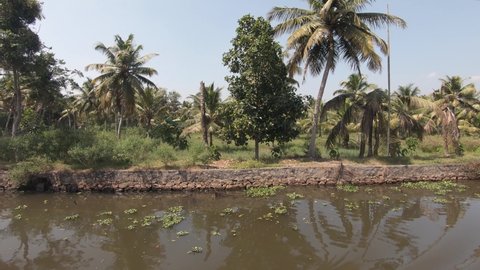 Palm tree river shore in Alappuzha, wooden houseboat sailing in waterway. Kerala. India