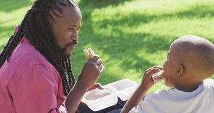 Video of happy african american father and son having picnic on grass. family, togetherness, spending quality time together outdoors.