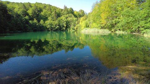 Galovac Lake reflecting in the Plitvice Lakes National Park of Croatia in Lika region. UNESCO World Heritage site.