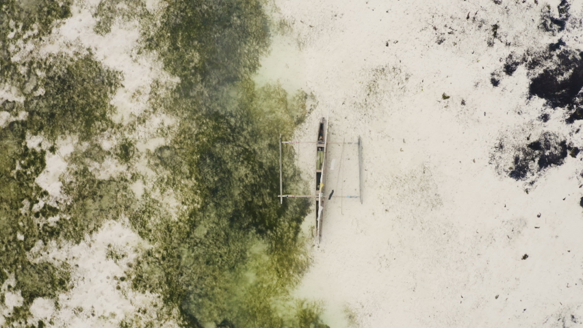 Wooden catamaran run ashore on sandy beach with seaweed at low tide.