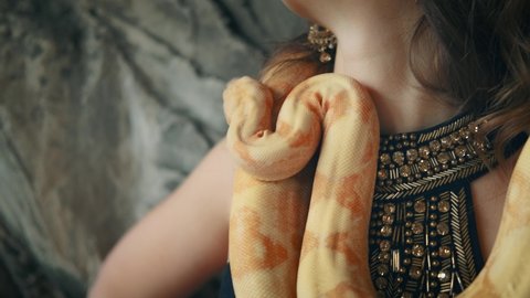Close-up shot portrait of woman's body, sexually posing with huge yellow snake. Albino anaconda boa wraps around neck attractive adult girl fashion model, studio background. Stylish passionate woman