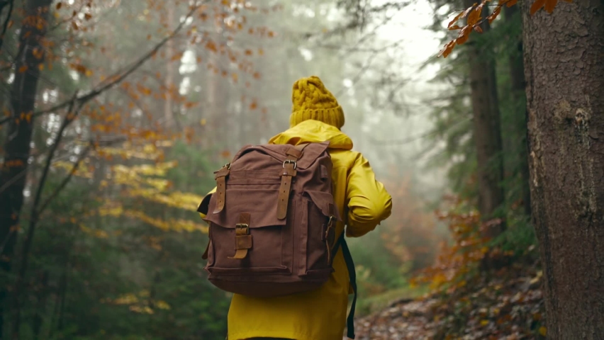 Slow motion footage woman in yellow jacket Walks with dog by trail in autumn forest. female hiker with backpack going up through wet wood with yellow leaves. selective focus. traveling in Ukraine | Shutterstock HD Video #1088983323