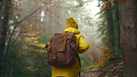 slow motion footage woman in yellow jacket Walks with dog by trail in autumn forest. female hiker with backpack going up through wet wood with yellow leaves. selective focus. traveling in Ukraine