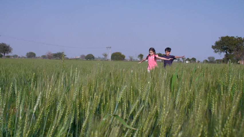 A farmer's adorable son and daughter running and playing in the agricultural field. Cheerful siblings from a village enjoying together field - Indian village Royalty-Free Stock Footage #1088984685