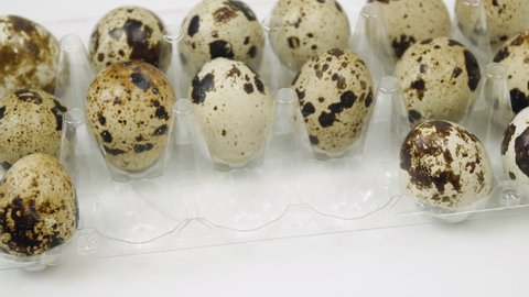 Hand placing many quail eggs on platform - close up. Lots of fresh quail raw eggs. Egg production facility concept