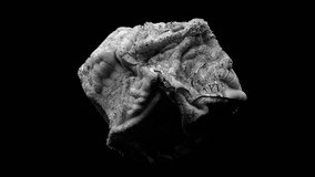 3d render video animation monochrome black and white of abstract art of surreal geology mineral organic metallic stone in rough grunge damaged scratched dirty surface on isolated black background - Powered by Shutterstock - Get 15% off with code: PIKWIZARD15