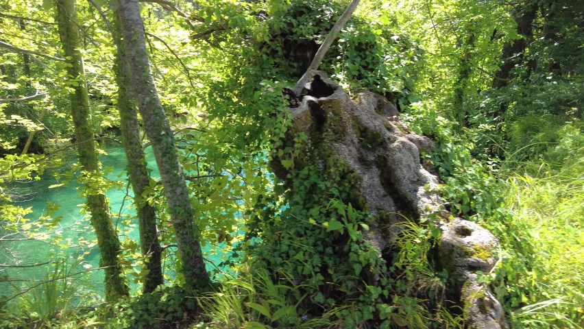 reflecting Milino Jezero lake of Plitvice Lakes National Park in Croatia in the Lika region. UNESCO World Heritage of Croatia, named Plitvicka Jezera.