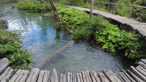 circular wooden jetty bridge of Milino Jezero leke of the National Park Plitvice Lakes in Croatia in the Lika region. UNESCO World Heritage of Croatia named Plitvicka Jezera.