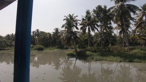 Exotic vegetation on riverbanks of Alappuzha or Alleppey, India. Side shot from boat